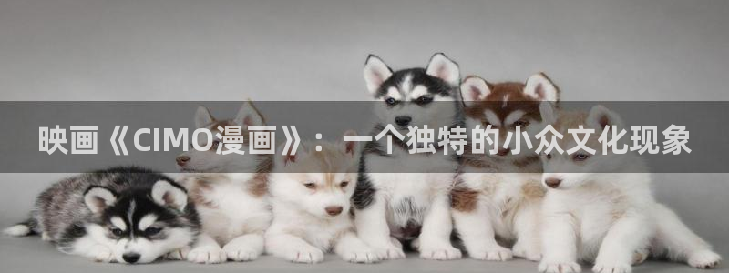 拷贝漫画用户名