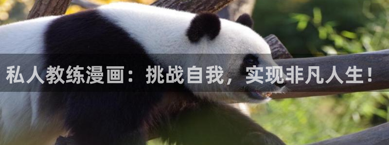 拷贝漫画官网下载ios