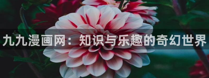 拷贝漫画苹果怎么下载