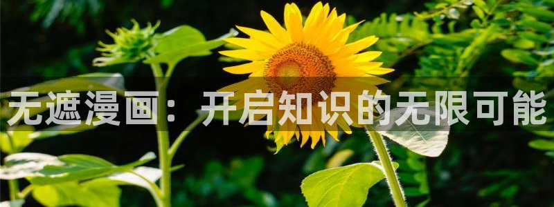 拷贝漫画pc端：无遮漫画：开启知识的无限可能